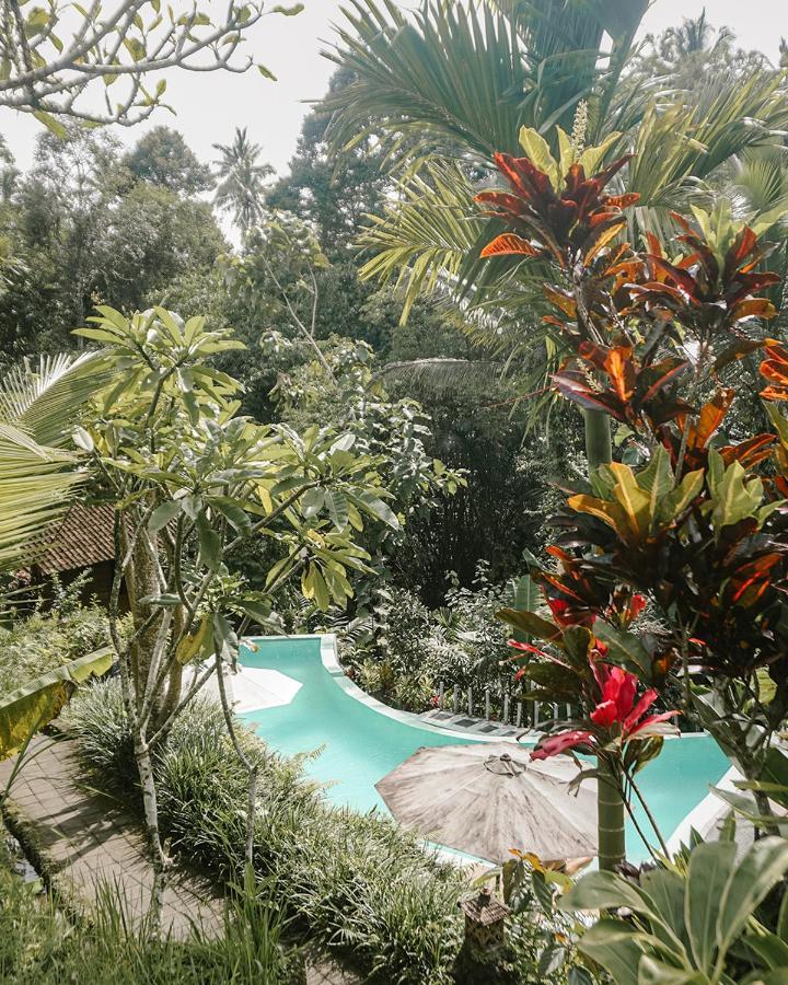Song Broek Bali Hotel Payangan Kültér fotó