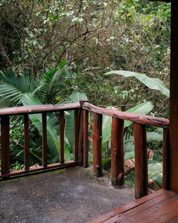 Song Broek Bali Hotel Payangan Kültér fotó