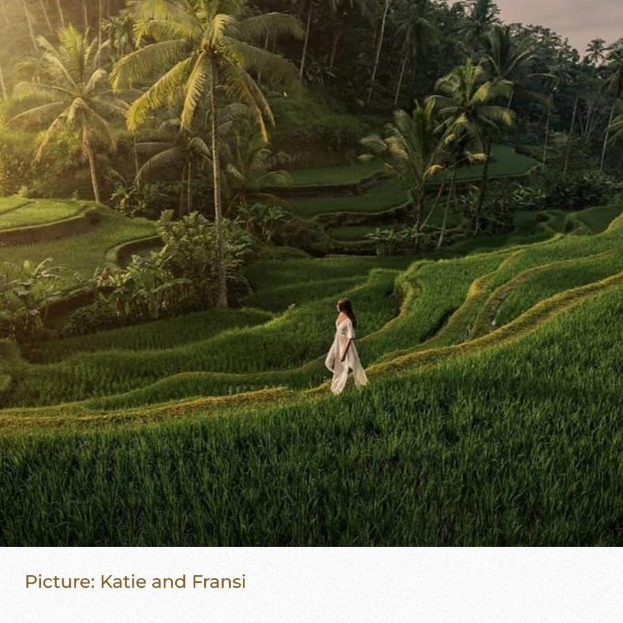 Song Broek Bali Hotel Payangan Kültér fotó