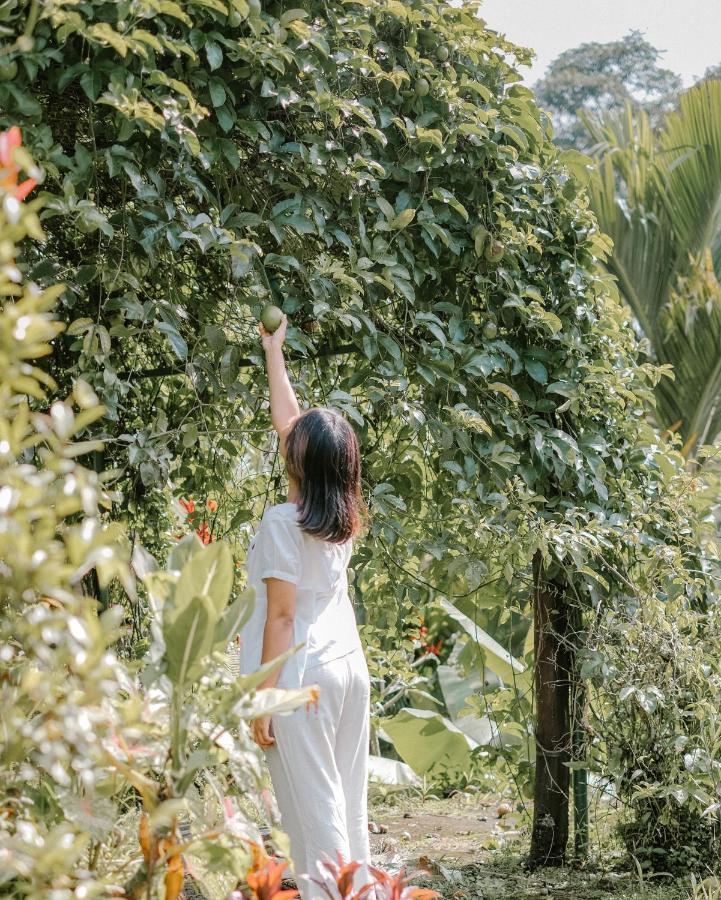 Song Broek Bali Hotel Payangan Kültér fotó